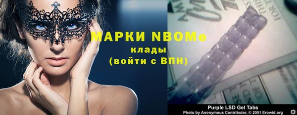 хмурый Гатчина