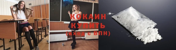 PSILOCYBIN Гвардейск