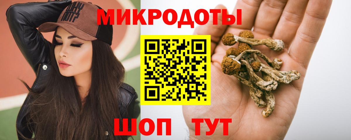 наркотики  Галлюциногенные грибы мицелий  Вход с VPN  Галлюциногенные грибы Psilocybine cubensis  Советская Гавань 